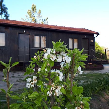 Casinha Do Cedro Villa Baiao Ngoại thất bức ảnh