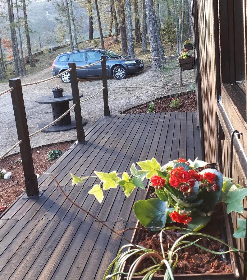 Casinha Do Cedro Villa Baiao Ngoại thất bức ảnh