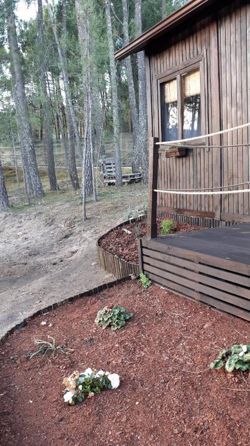 Casinha Do Cedro Villa Baiao Ngoại thất bức ảnh