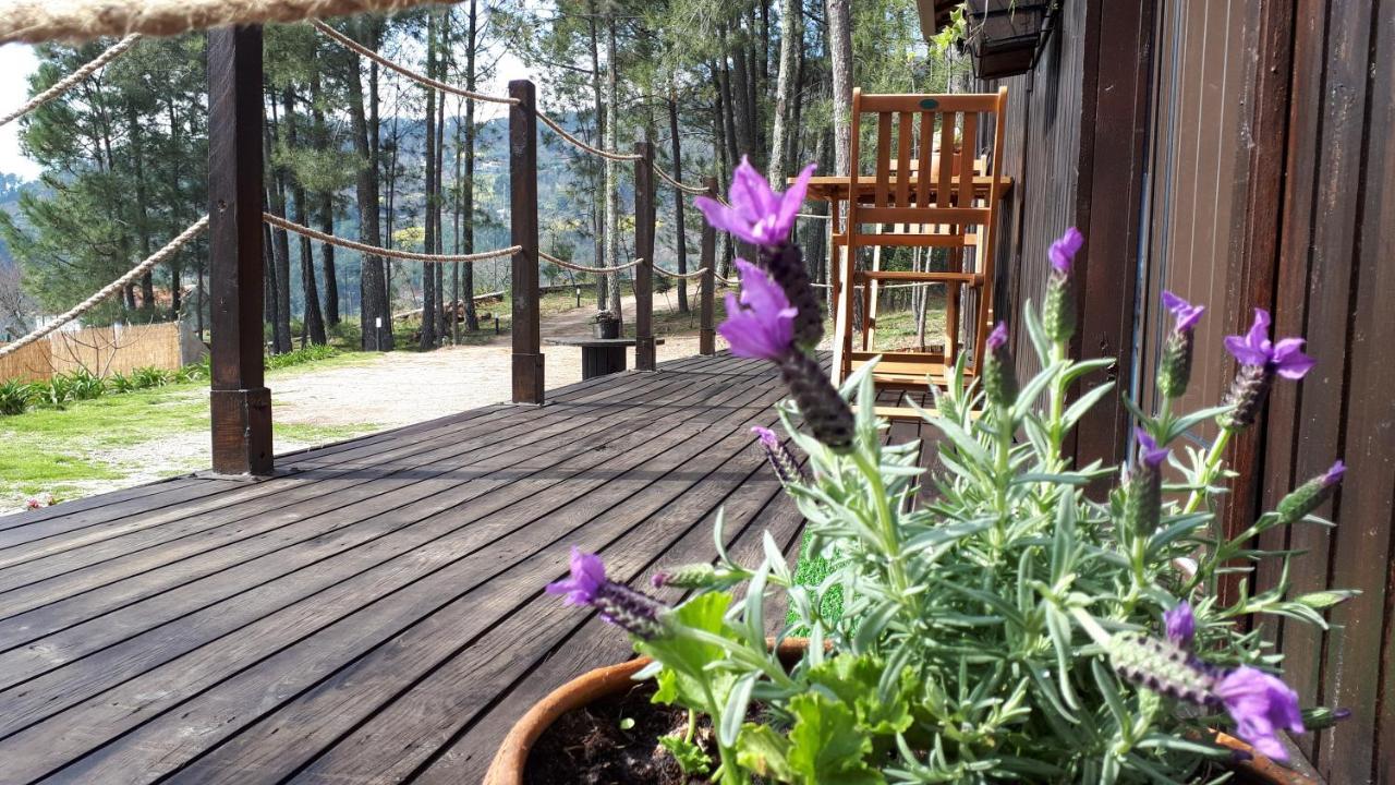 Casinha Do Cedro Villa Baiao Ngoại thất bức ảnh