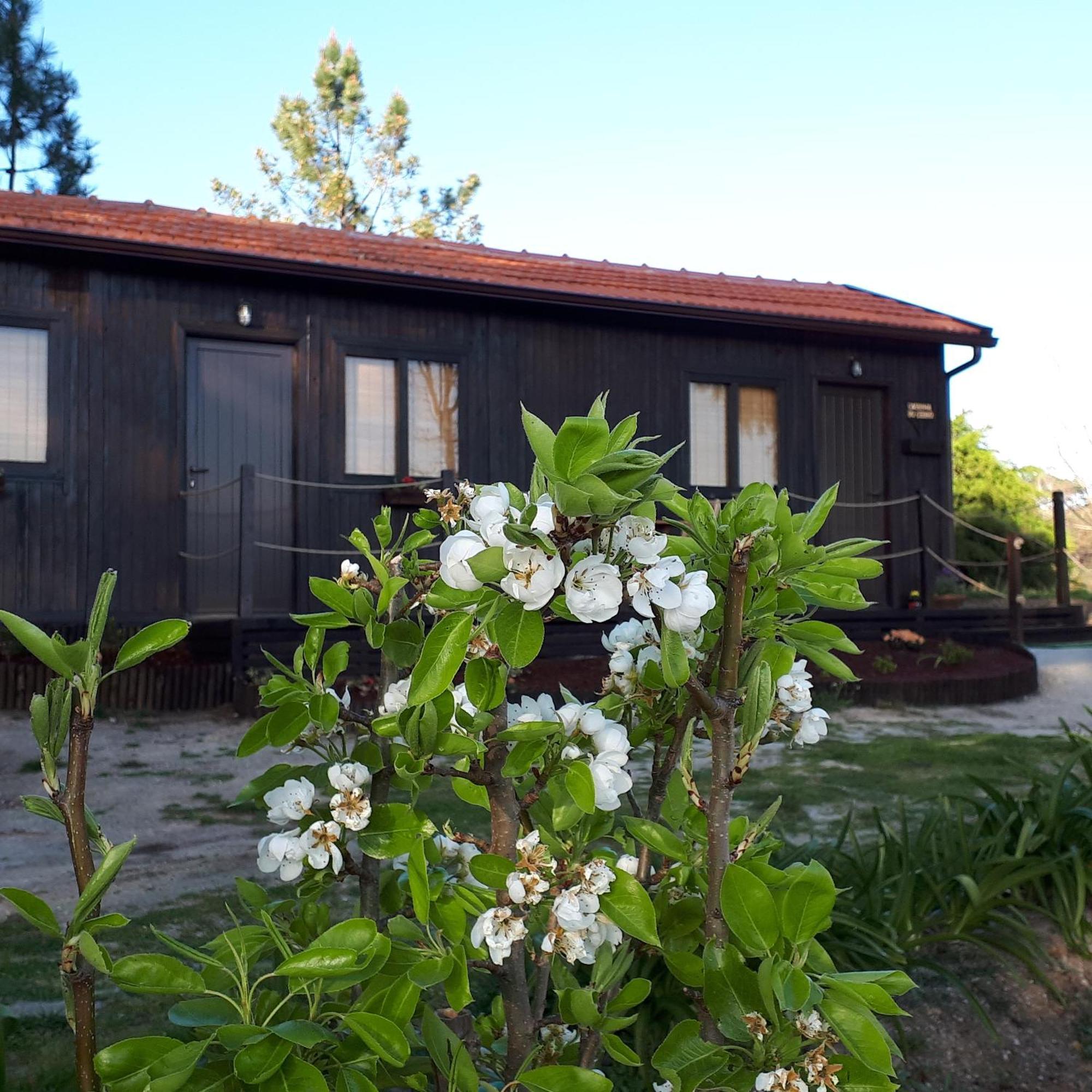 Casinha Do Cedro Villa Baiao Ngoại thất bức ảnh